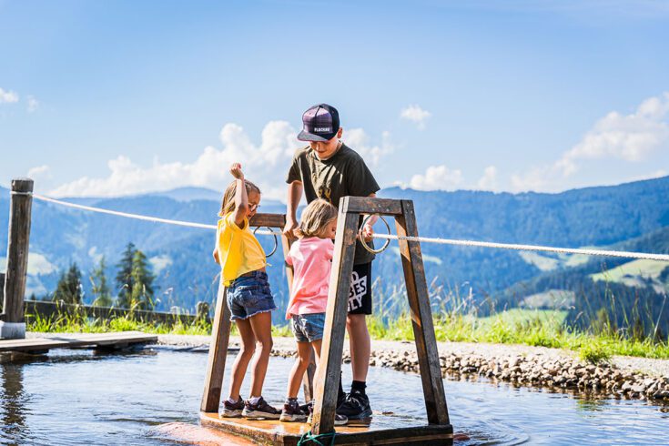 Wandern - Sommerurlaub in Flachau, Salzburg